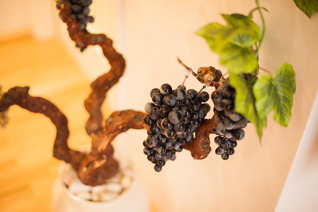 Ferienwohnung Vineyard Of Šibenik Zimmer foto